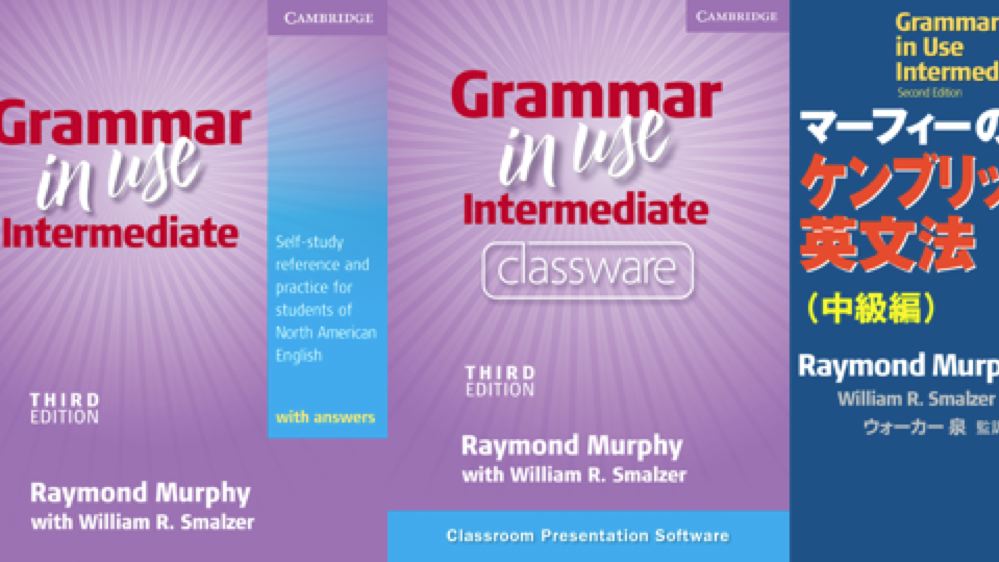 Grammar in Use Intermediate: 3rd Edition by William R. Smalzer