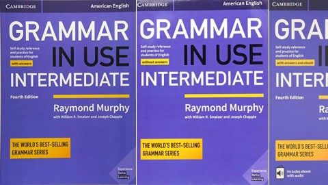 Grammar in Use Intermediate: 4th Edition by Raymond Murphy