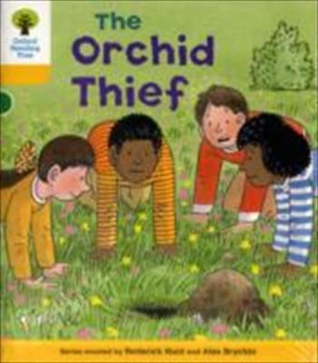 Oxford Reading Tree: Decode and Develop Stories - Pack (Stage 5