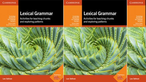 Lexical Grammar - Activities for Teaching Chunks and Exploring Patterns ...