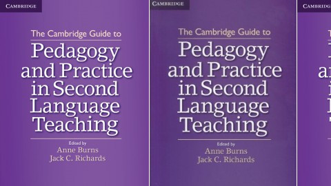 The Cambridge Guide to Pedagogy and Practice in Second Language ...