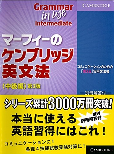 Grammar in Use Intermediate: 3rd Edition by William R. Smalzer